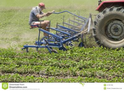 cultivating-field-young-soybean-crops-row-crop-cultivator-machine-41791782.jpg