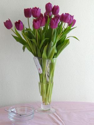 DSC04818-carver-and-purple-tulips.jpg