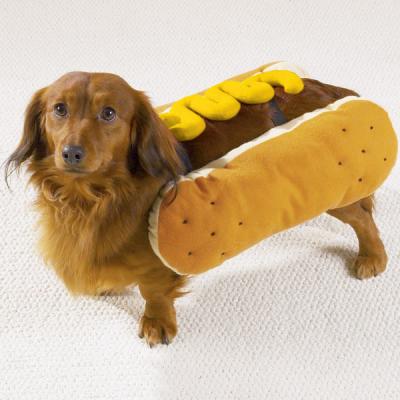 hot-dog-with-mustard-dog-halloween-costume-casual-canine-1.jpg
