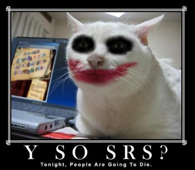 Joker Cat.jpg