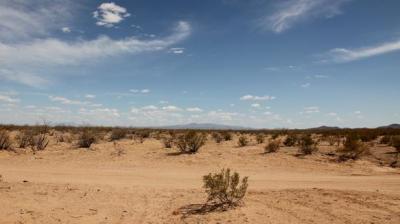 desert-border-ridealong-spotlight.jpg