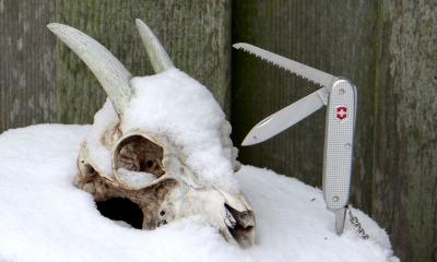 DSC00018-bushcrafter-and-skull-in-the-snow-42.jpg