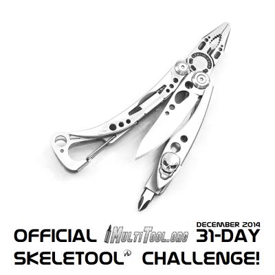 Official 31-Day SKELETOOL Challenge.jpg