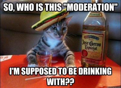 Mexican-Que-Cat-gif-meme-sombr.jpeg