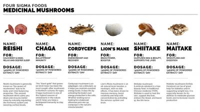 mushroom group.jpg