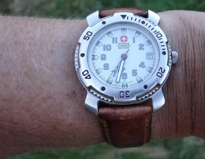 DSC01073-wenger-watch.jpg