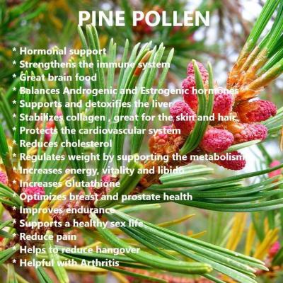 Pine pollen 1.png