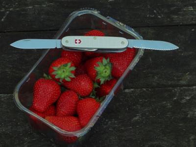 DSC06492-strawberries-and-carver.jpg