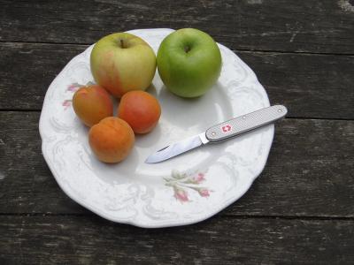 DSC05569-apples-apricots-solo.jpg