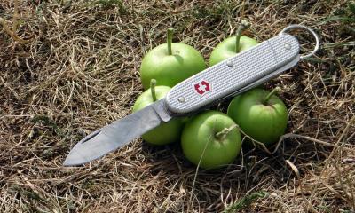 DSC02282-bushcrafter-and-crab-apples-001.jpg