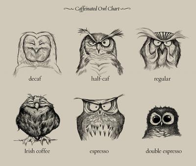 Caffeinated Owls.jpg