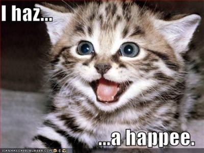 funny-pictures-kitten-has-a-happy.jpg